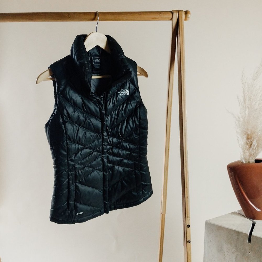 the north face goose down 550 puffer vest